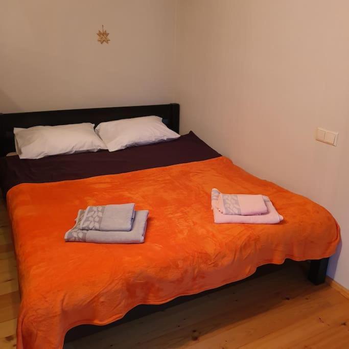 Studio Apartment And Free Airport Transfer Riga Bagian luar foto